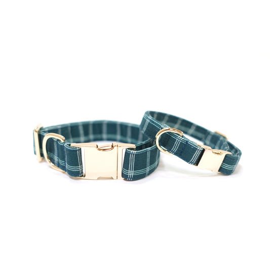Windowpane-pattern dog collar with brass buckle and D-ring, teal and white.