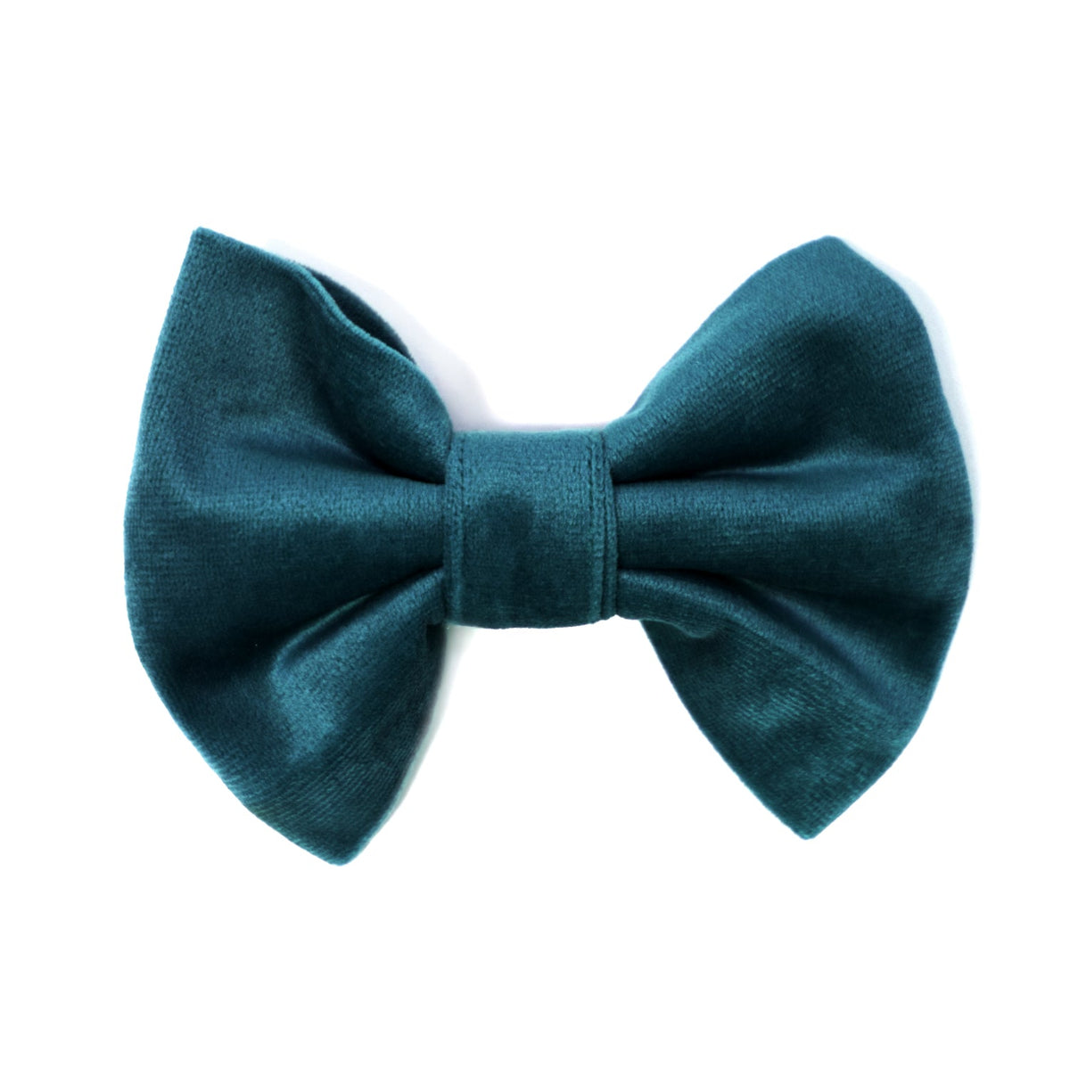 Teal velvet bow tie for dog collar, neatly tied