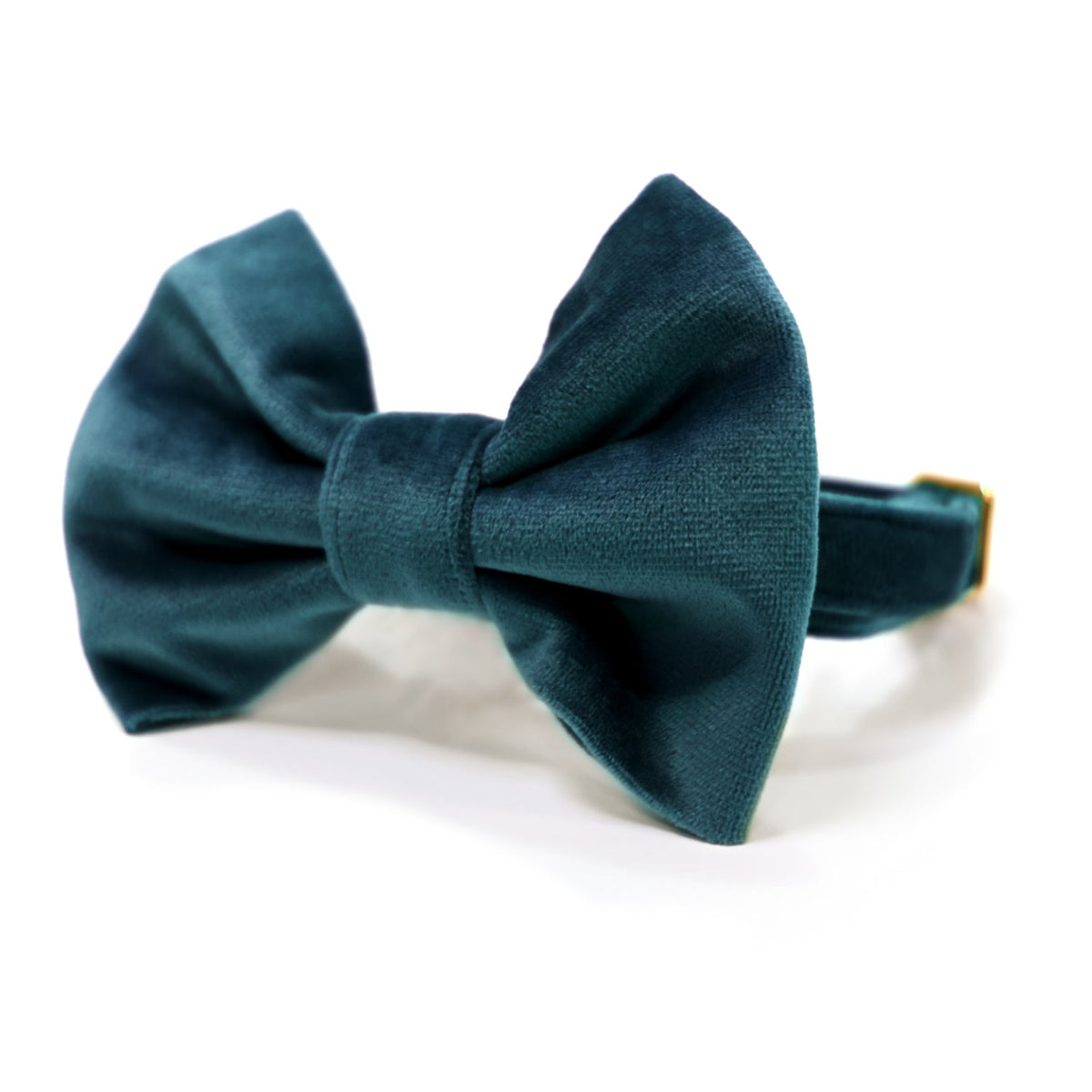 Teal velvet dog collar with matching bow tie, close-up