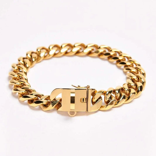 Gold Cuban link chain dog collar with square clasp and D-ring