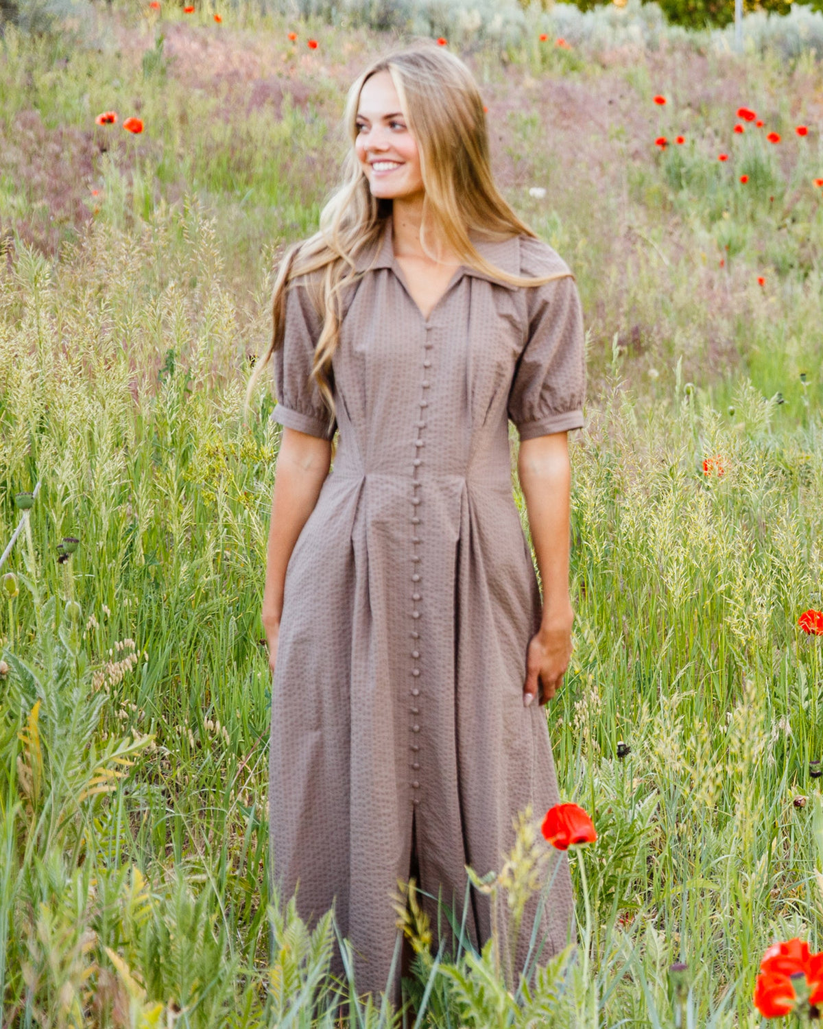 Brown midi field dress with short puff sleeves, button-front placket, and pointed collar