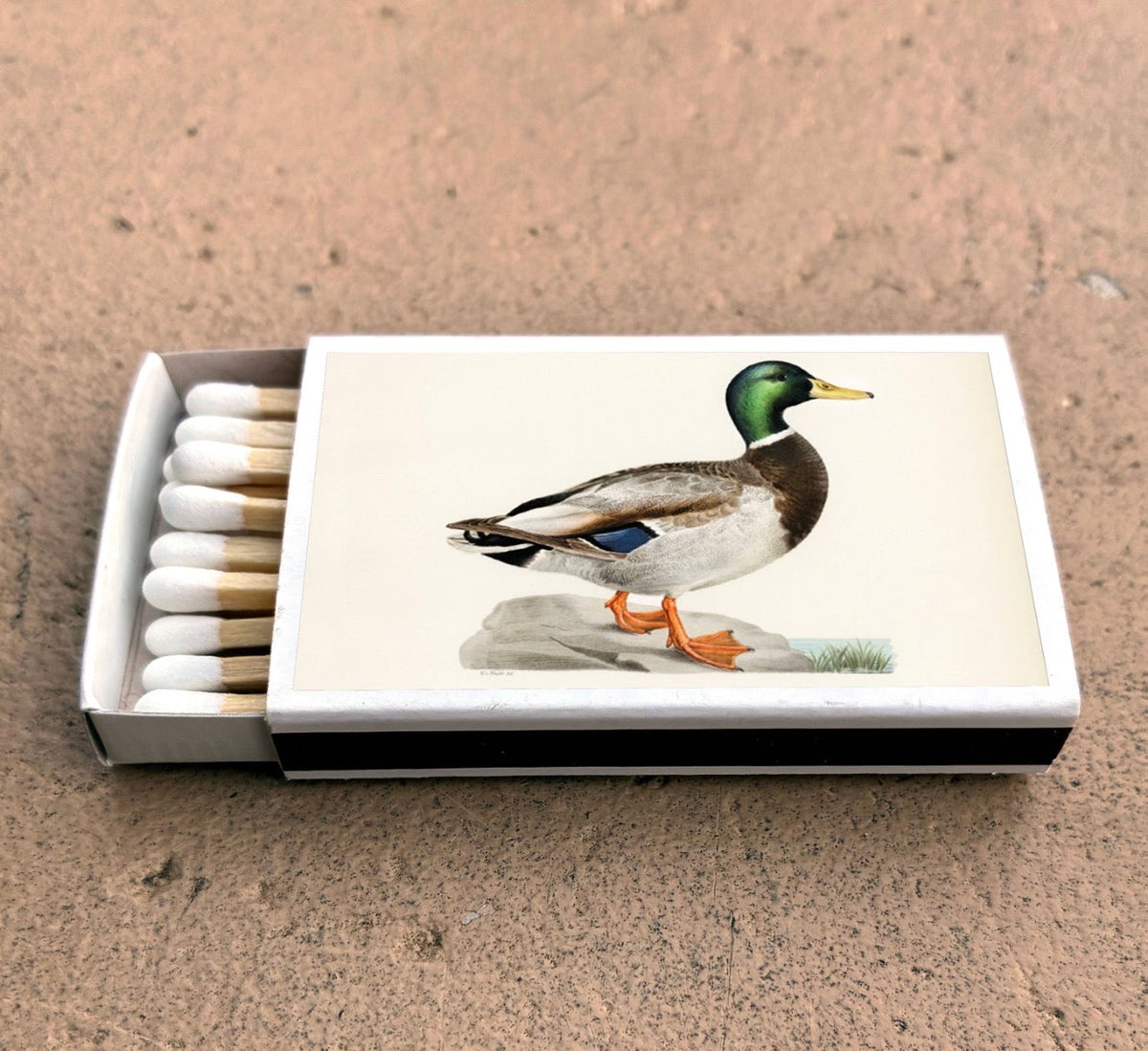 Mallard duck matchbox with duck image card on top and rows of white matches