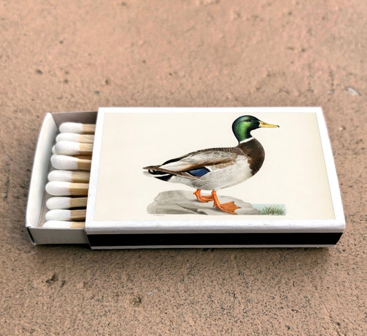 Mallard duck matchbox with duck image card on top and rows of white matches
