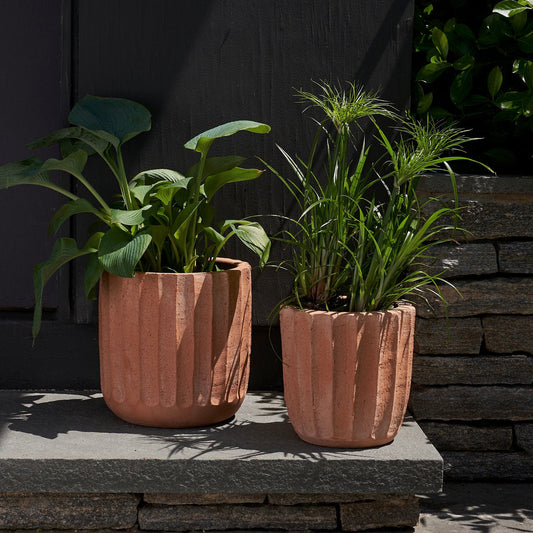 Terracotta fluted planter pots with green plants on stone steps