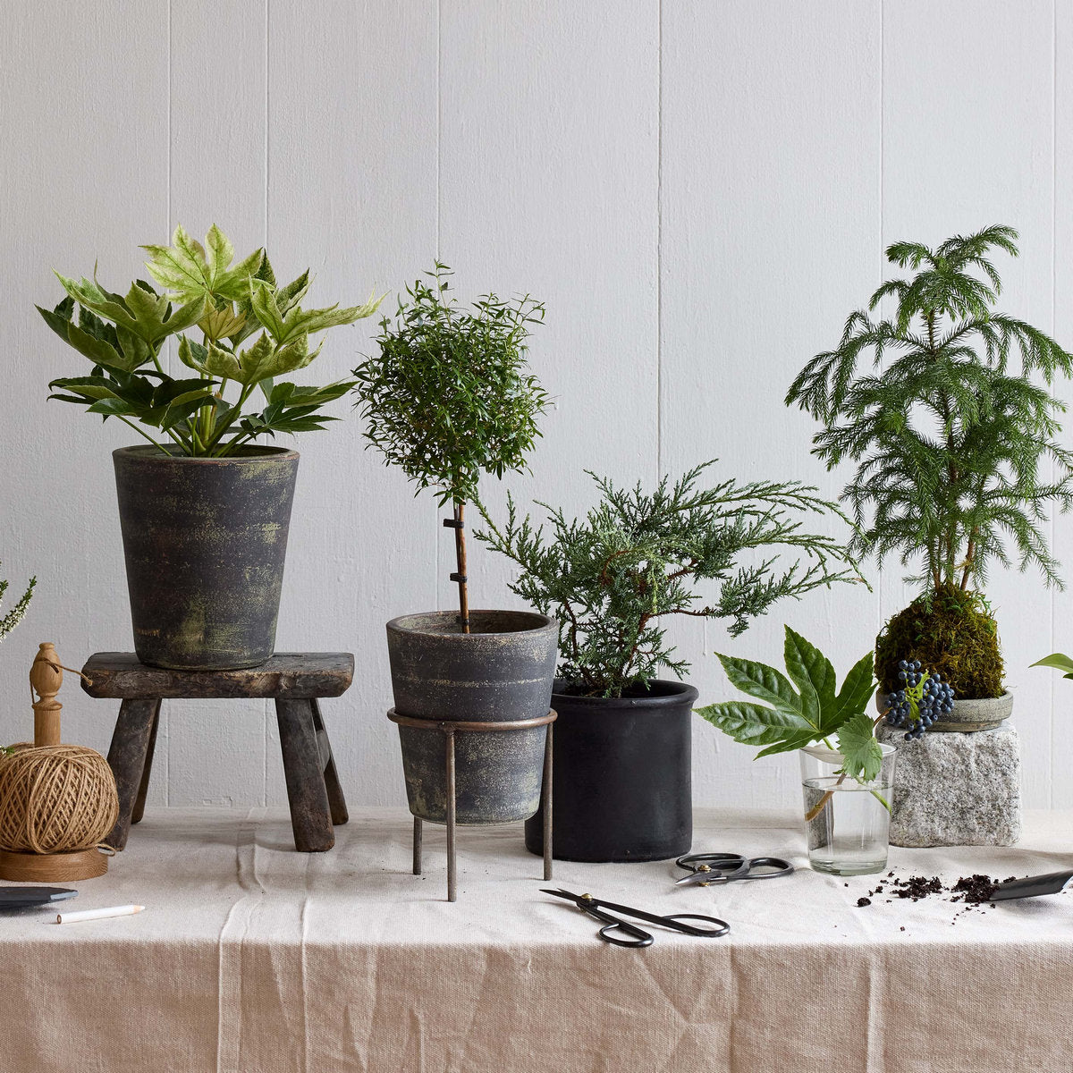 Grey patina terra cotta planters with plants, assorted sizes, rounded tapered cylinders