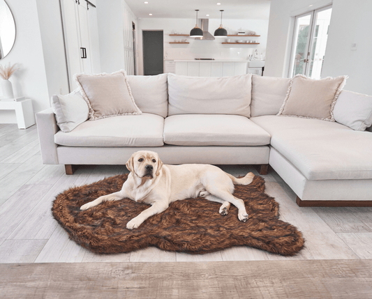 Curved brown faux fur orthopedic dog bed with shaggy top on a floor