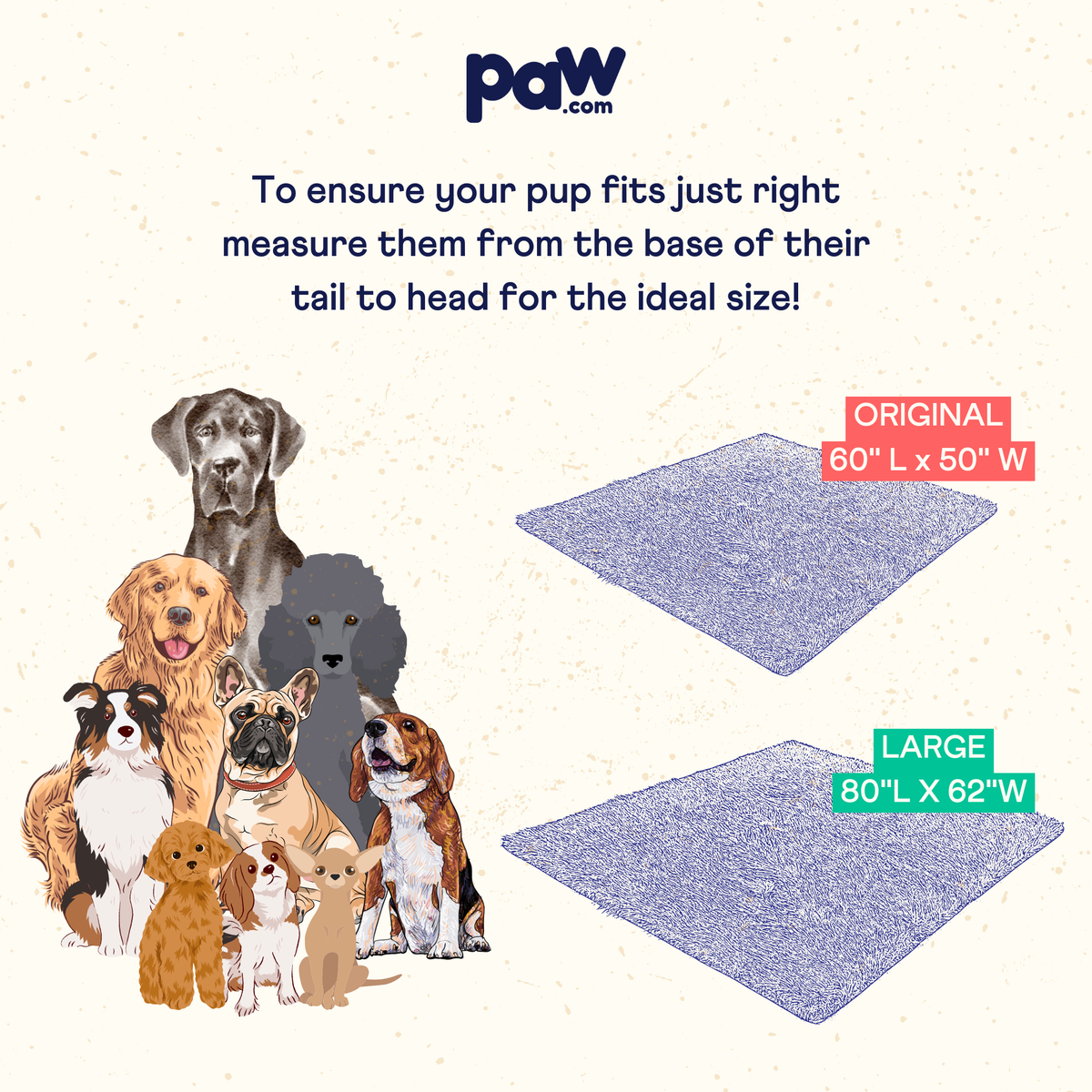 PupProtector™ throw blanket size guide: 60"L x 50"W and 80"L x 62"W