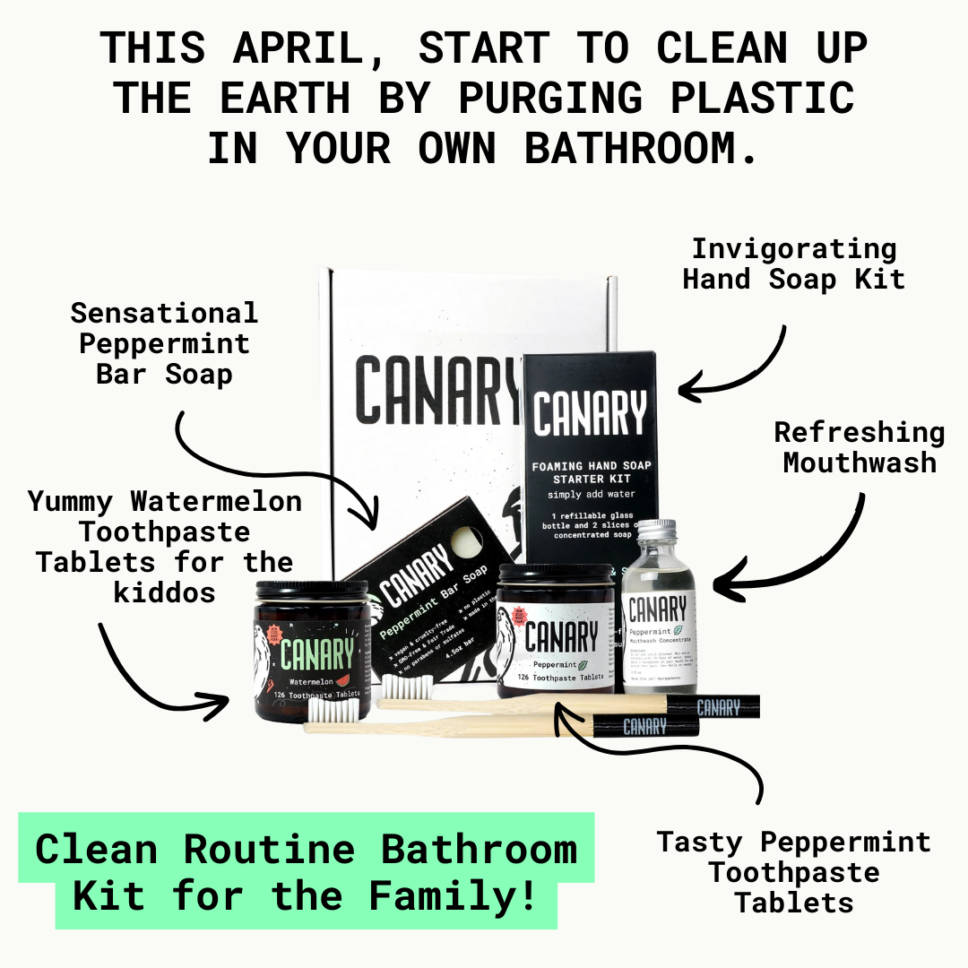 Plastic-free family bathroom kit with toothpaste tablets, mouthwash, soap, and hand soap starter kit