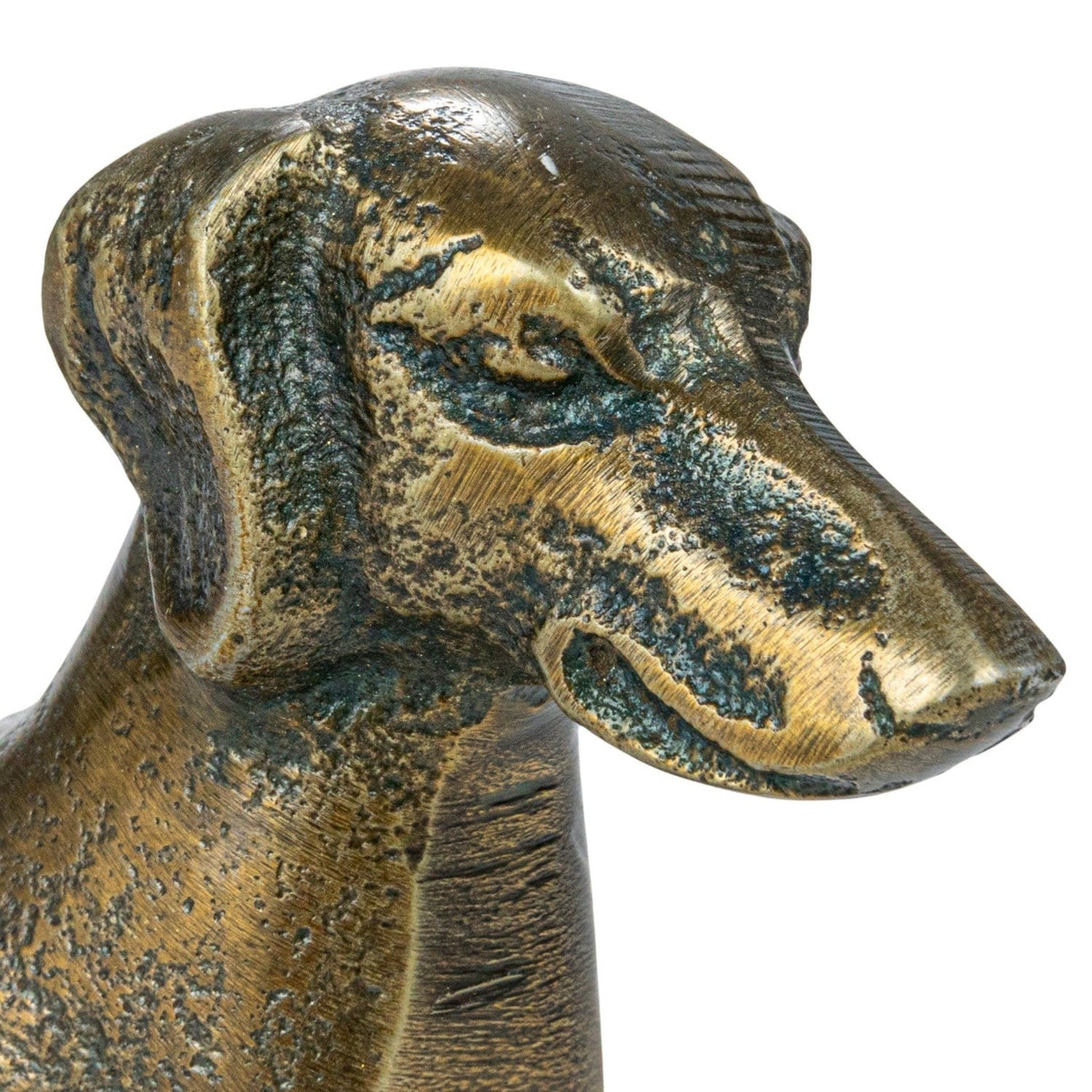 Antique brass dachshund figurine close-up, cast texture on head and back.