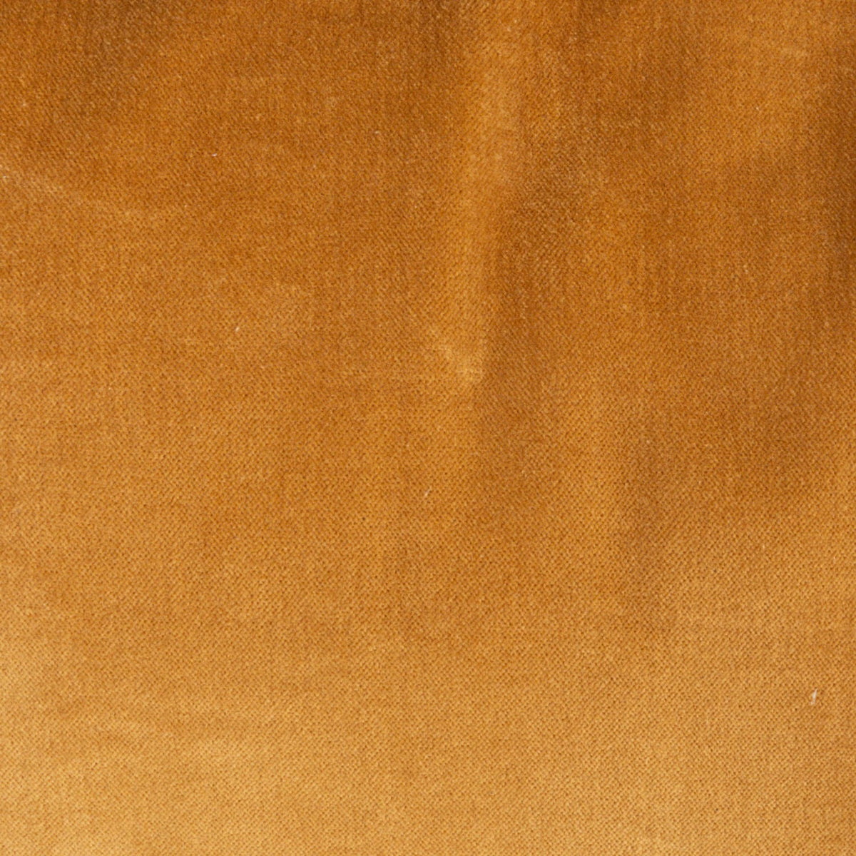 Mustard cotton velvet pillow fabric close-up texture