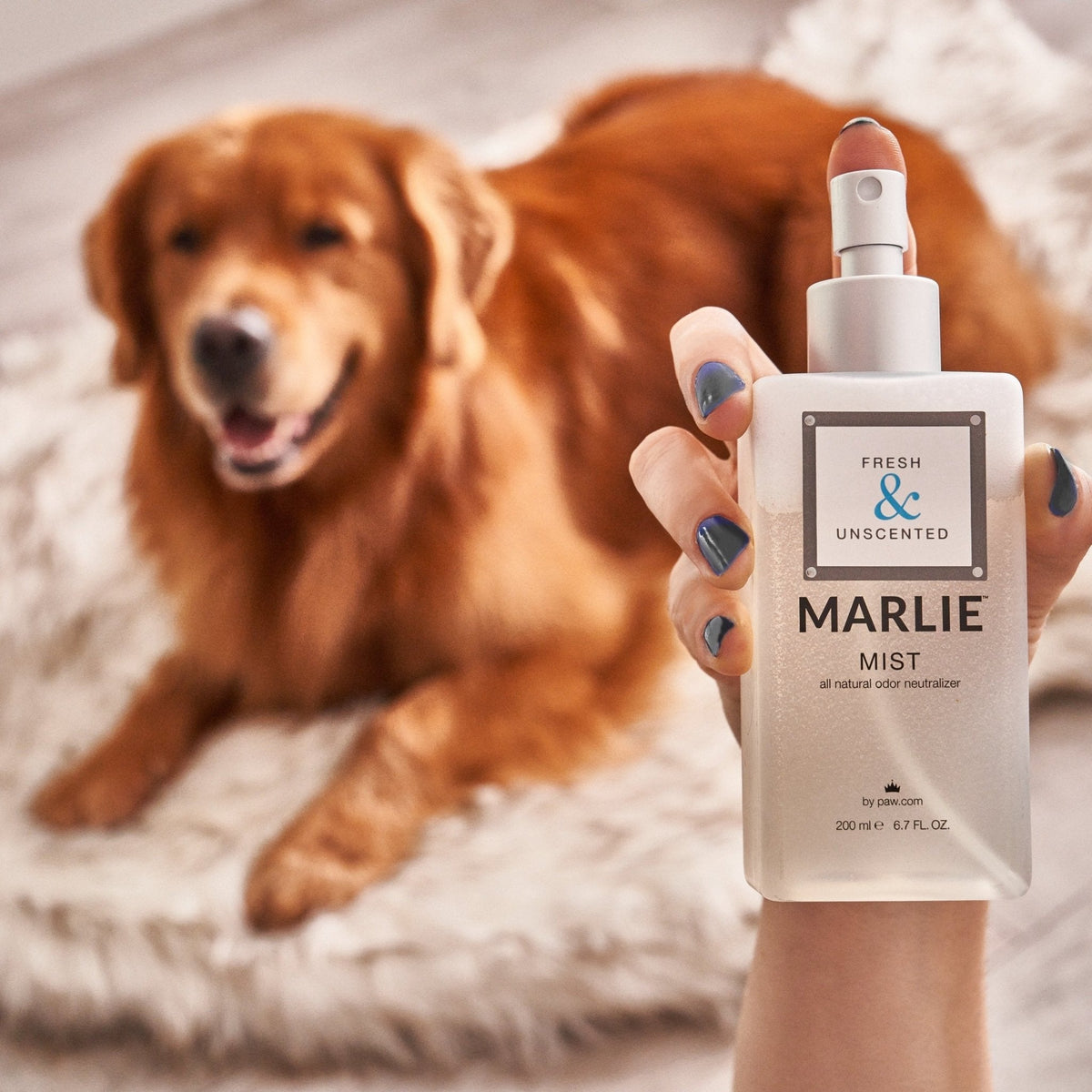 Marlie unscented pet odor eliminator spray bottle in hand, with brown dog