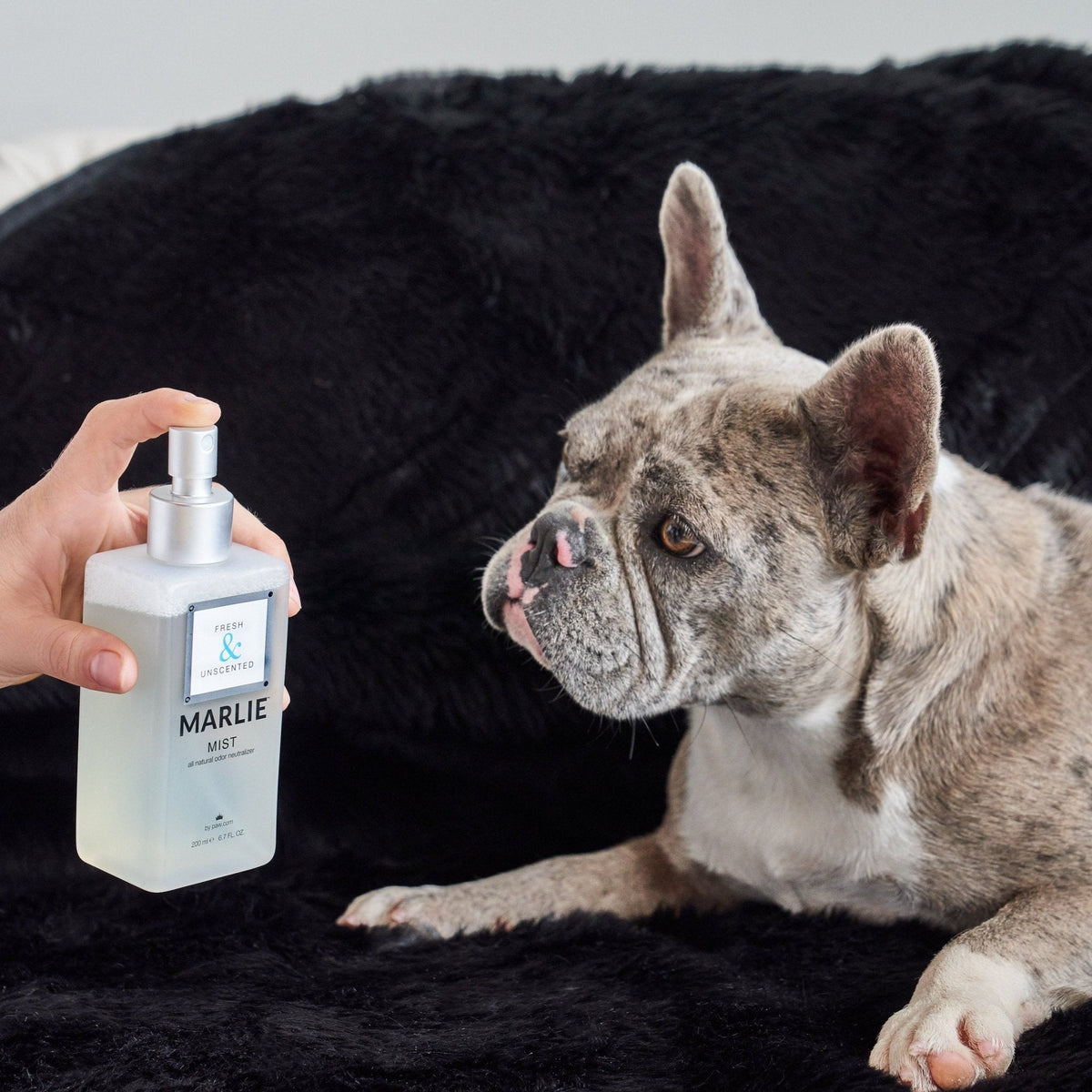 Pet odor eliminator mist spray bottle, Marlie Mist Fresh & Unscented