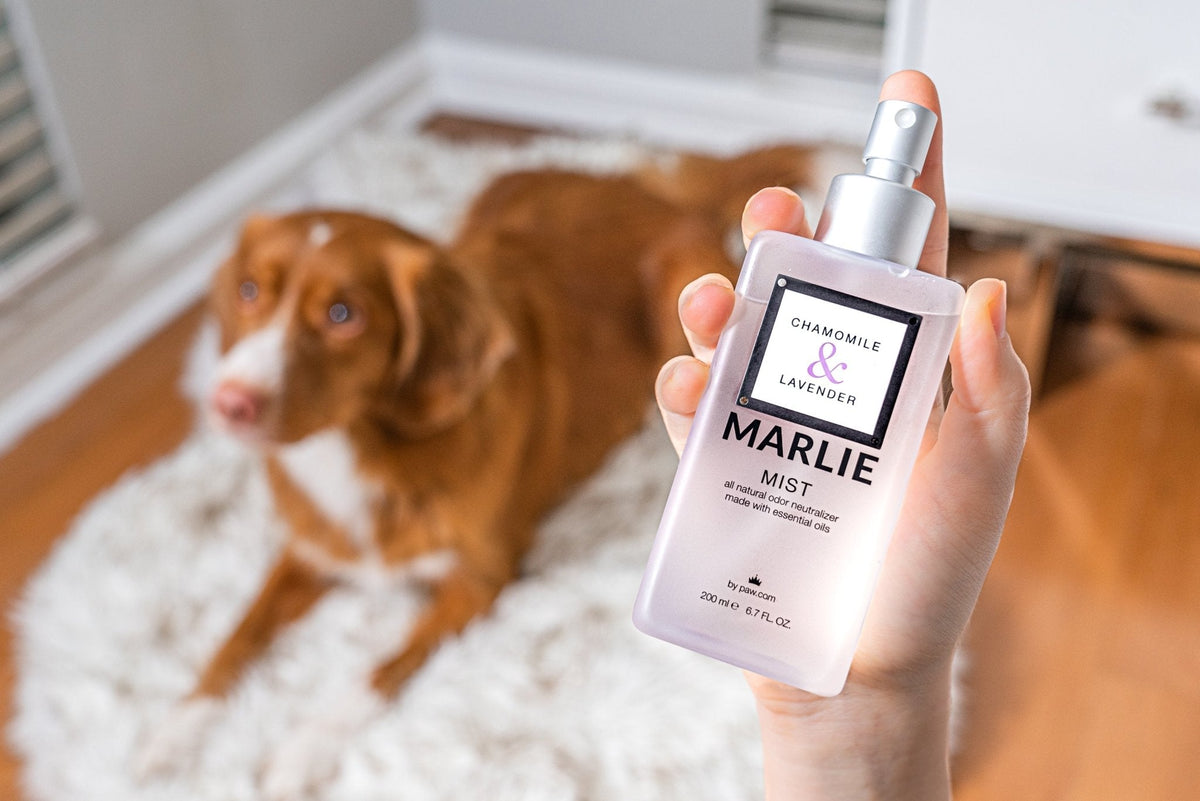 Pet odor eliminator mist spray bottle, Marlie Mist Chamomile & Lavender scent