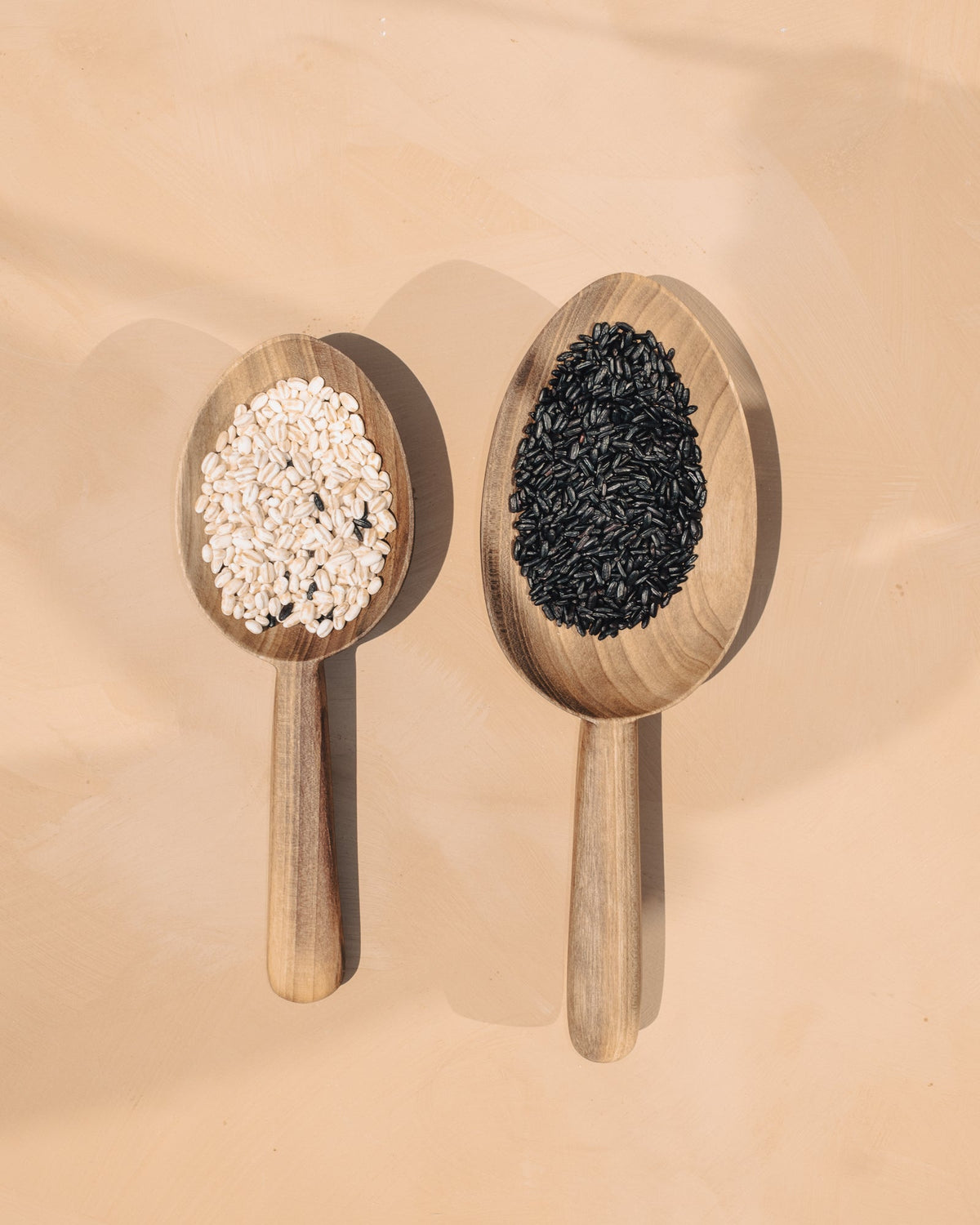 Walnut scoop spoon set of 2, light and dark contents in oval bowls