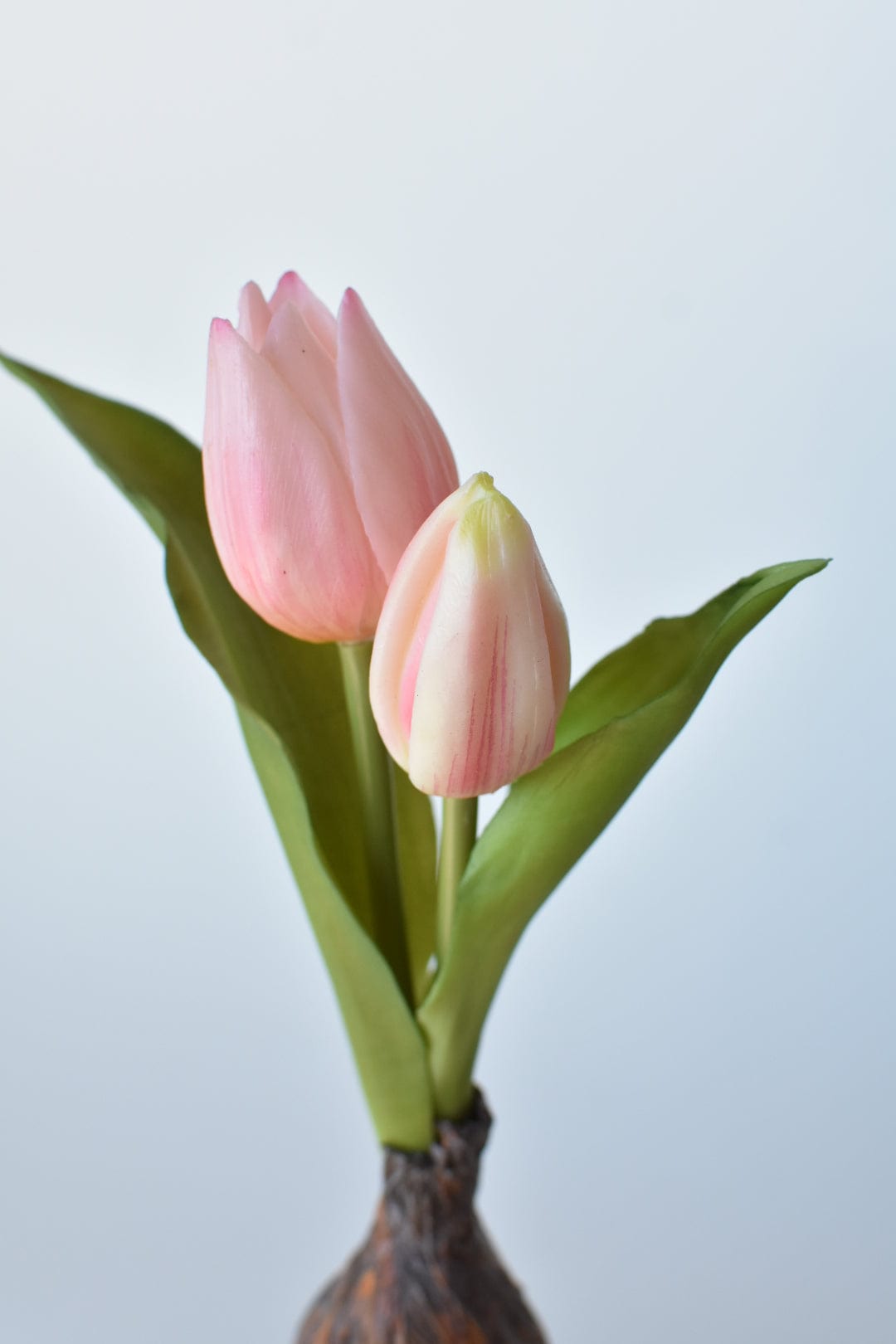 Soft pink tulip flowers with green leaves and faux bulb on a pick