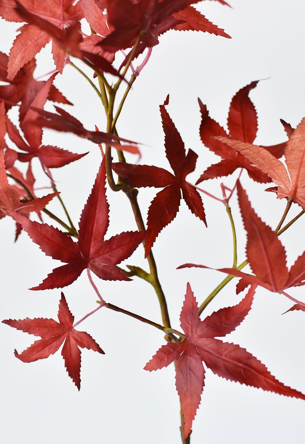 Faux Japanese maple leaf stem close-up with red maple-shaped leaves and branches
