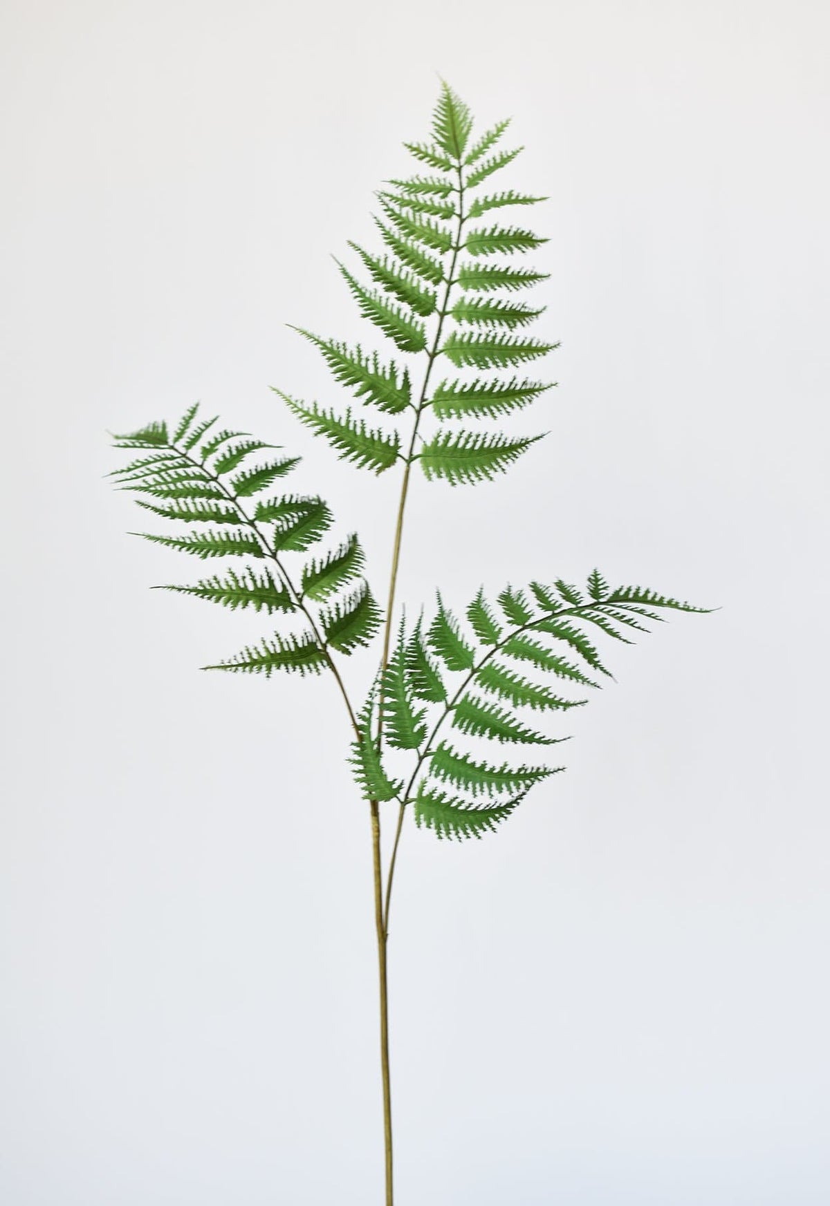 Faux forest fern spray with layered green fronds on a single stem