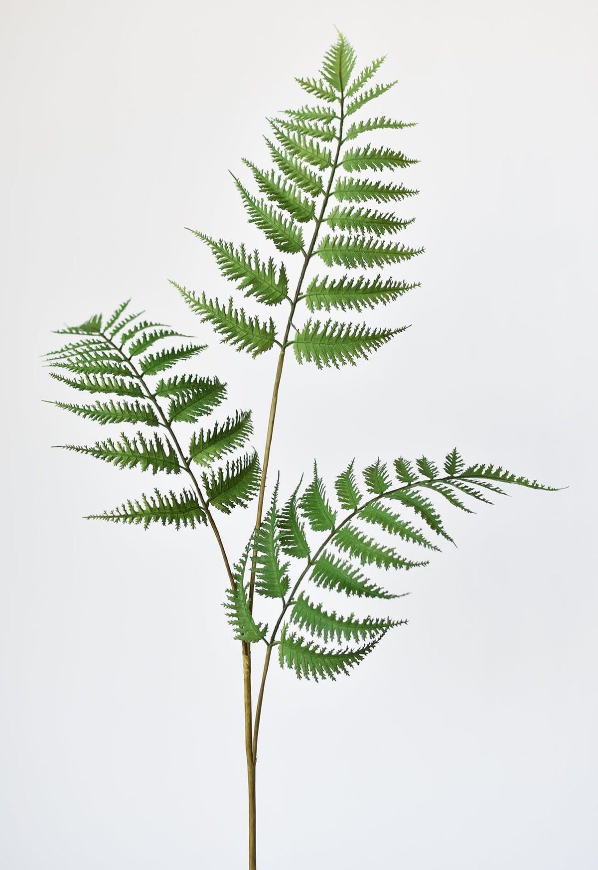 Faux forest fern spray with three green fern fronds on a long stem