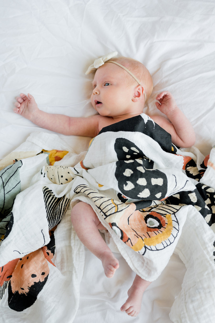 Baby swaddled in white butterfly muslin blanket with black and orange moths and butterflies