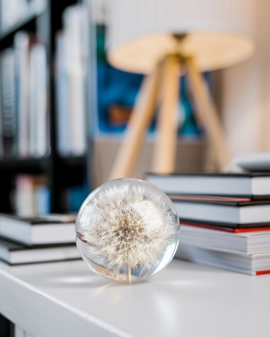 Round clear resin paperweight with dandelion seed head on stacked books