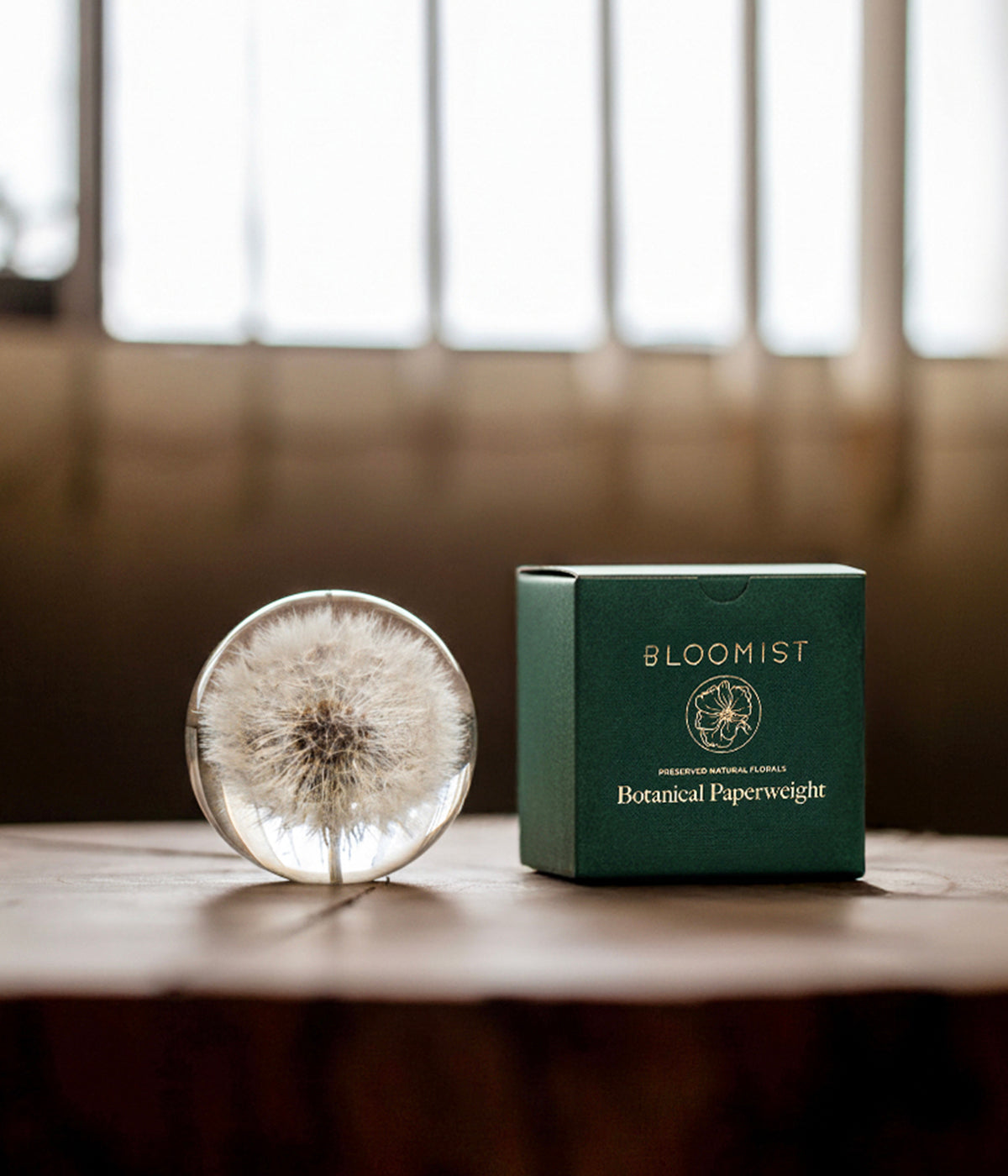 Clear resin dandelion paperweight on table beside green gift box
