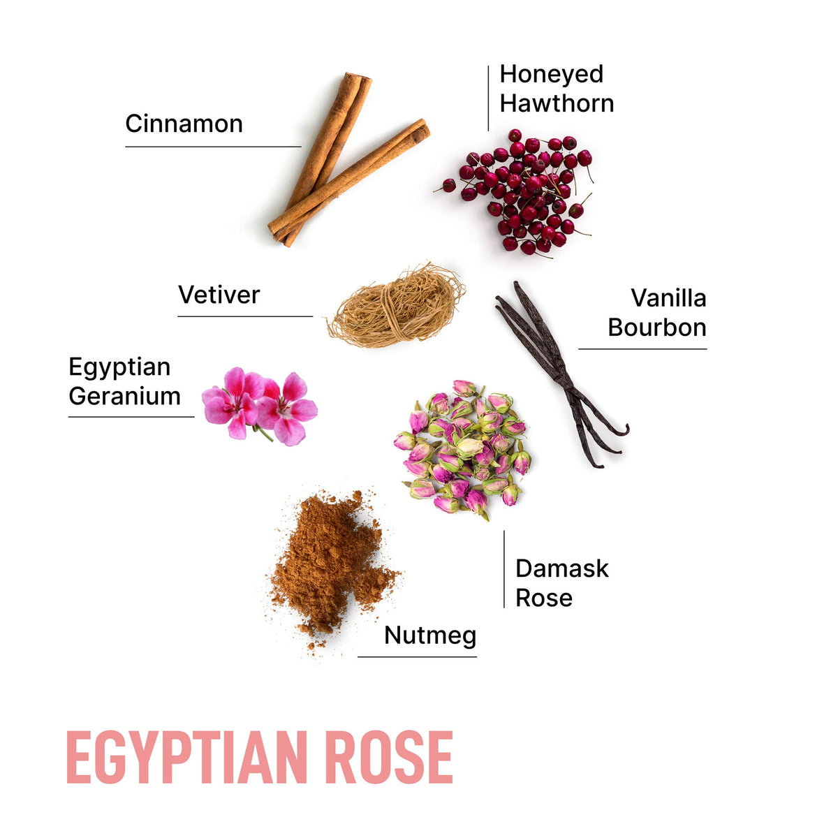 Laundry detergent pods Egyptian rose scent profile with rose petals and spices