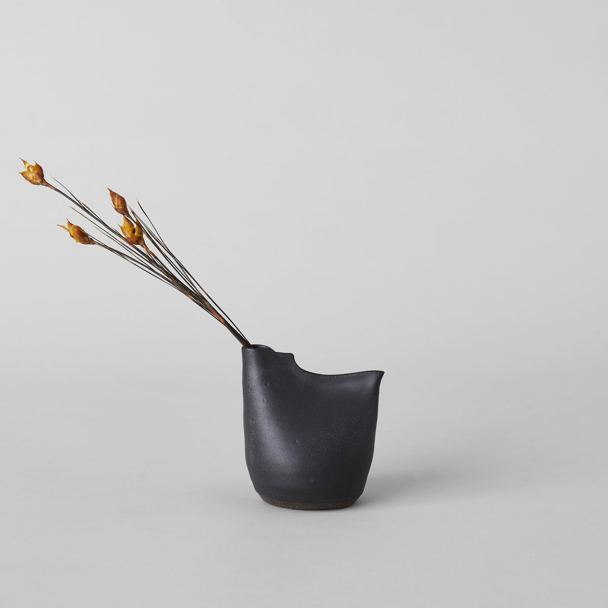 Matte black bird vase with open top, paired with dried stems above.