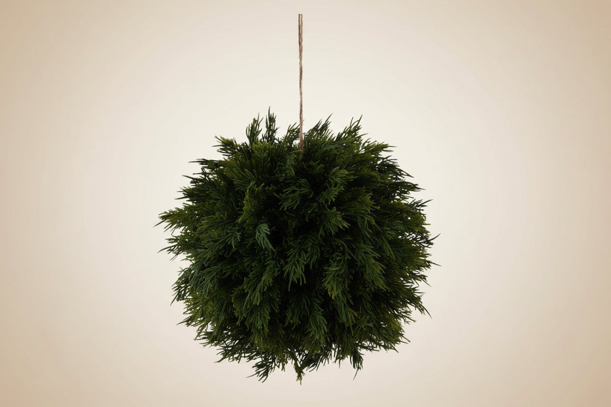 Hanging cedar ball with green needle-like foliage