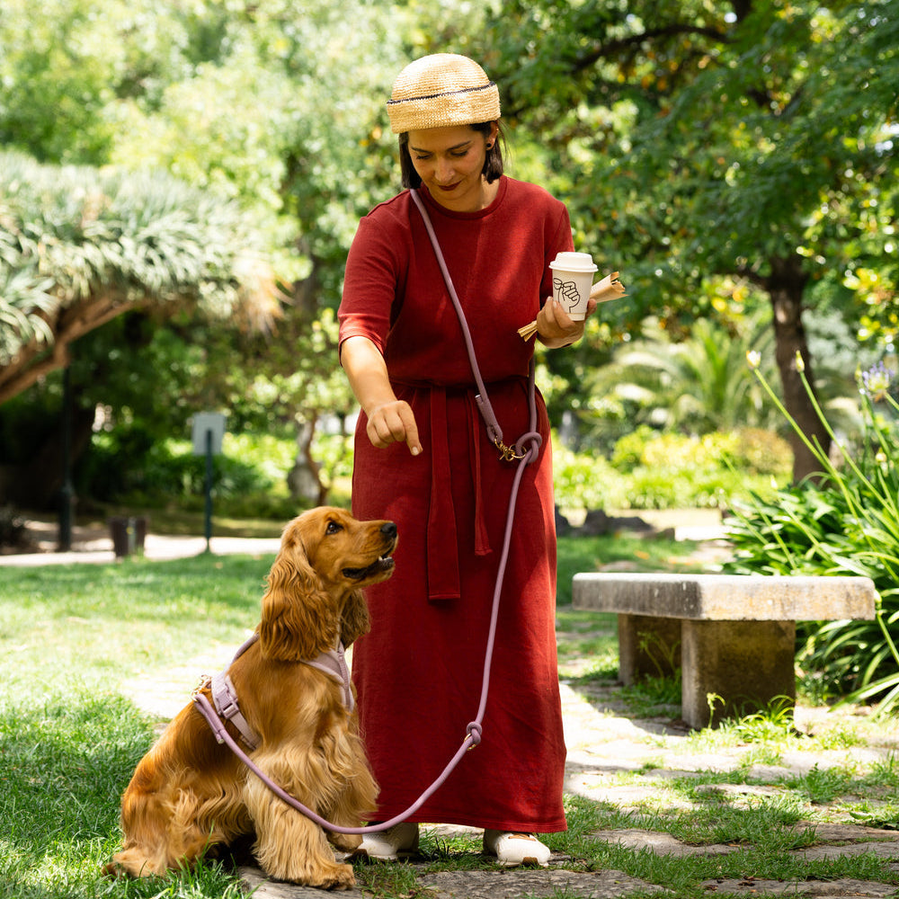 Hands-free burgundy braided dog leash worn with metal clip and rings