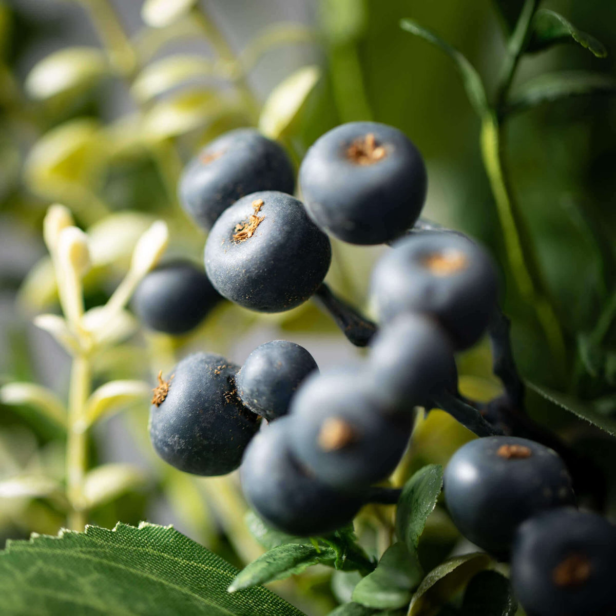 Close-up of artificial dark blue berries with green leaves