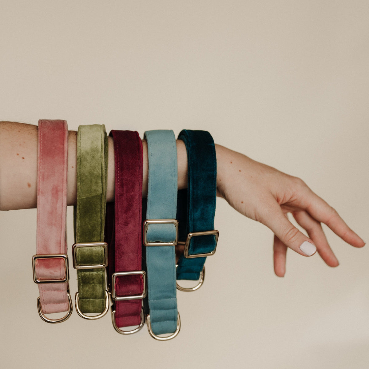 Velvet dog collars in multiple colors on a wrist: pink, green, burgundy, teal, navy