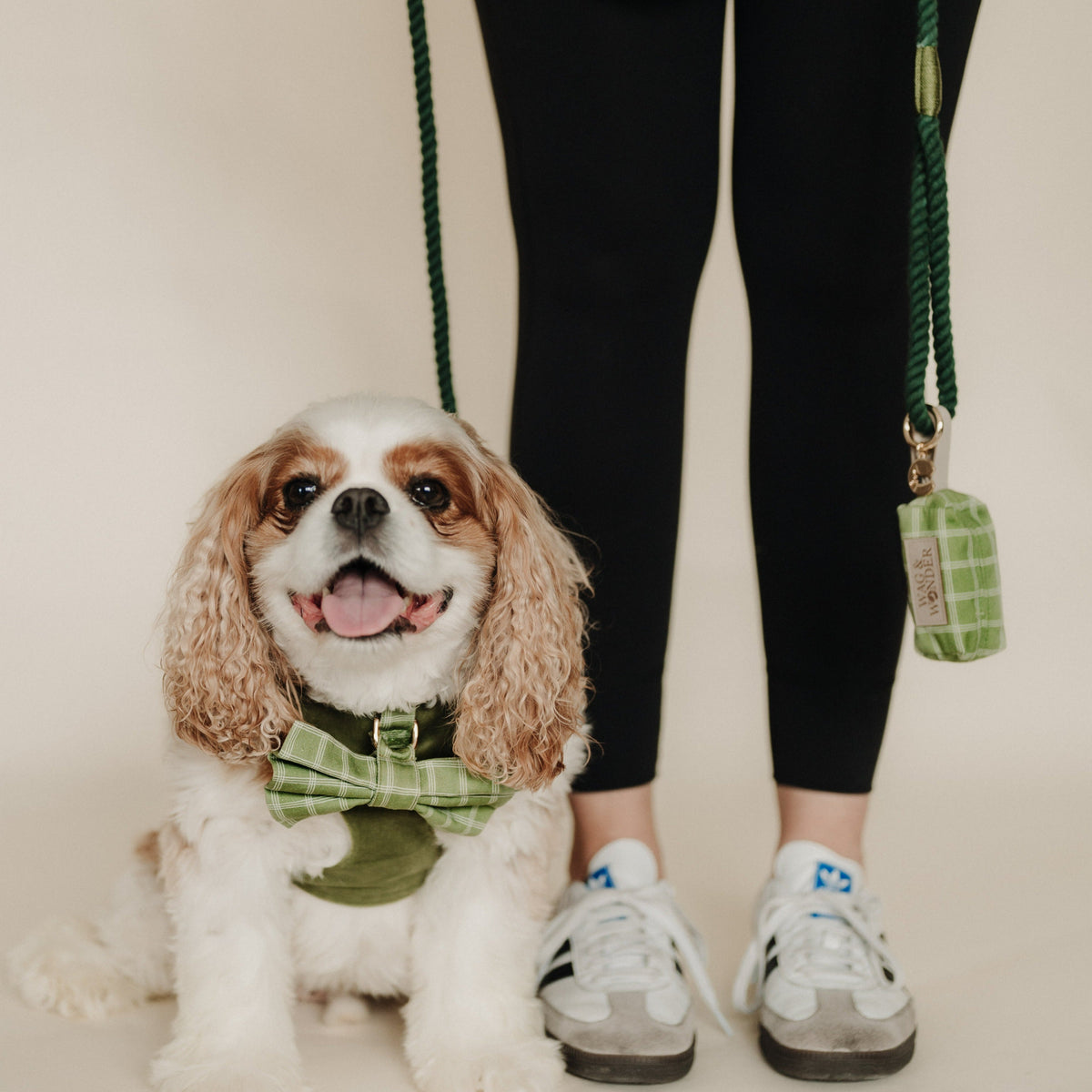 Green windowpane waste bag holder pouch hanging from leash near dog.
