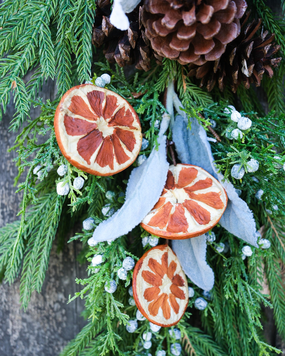 Evergreen garland close-up with orange slice ornaments, white ribbon streamers, and pinecones