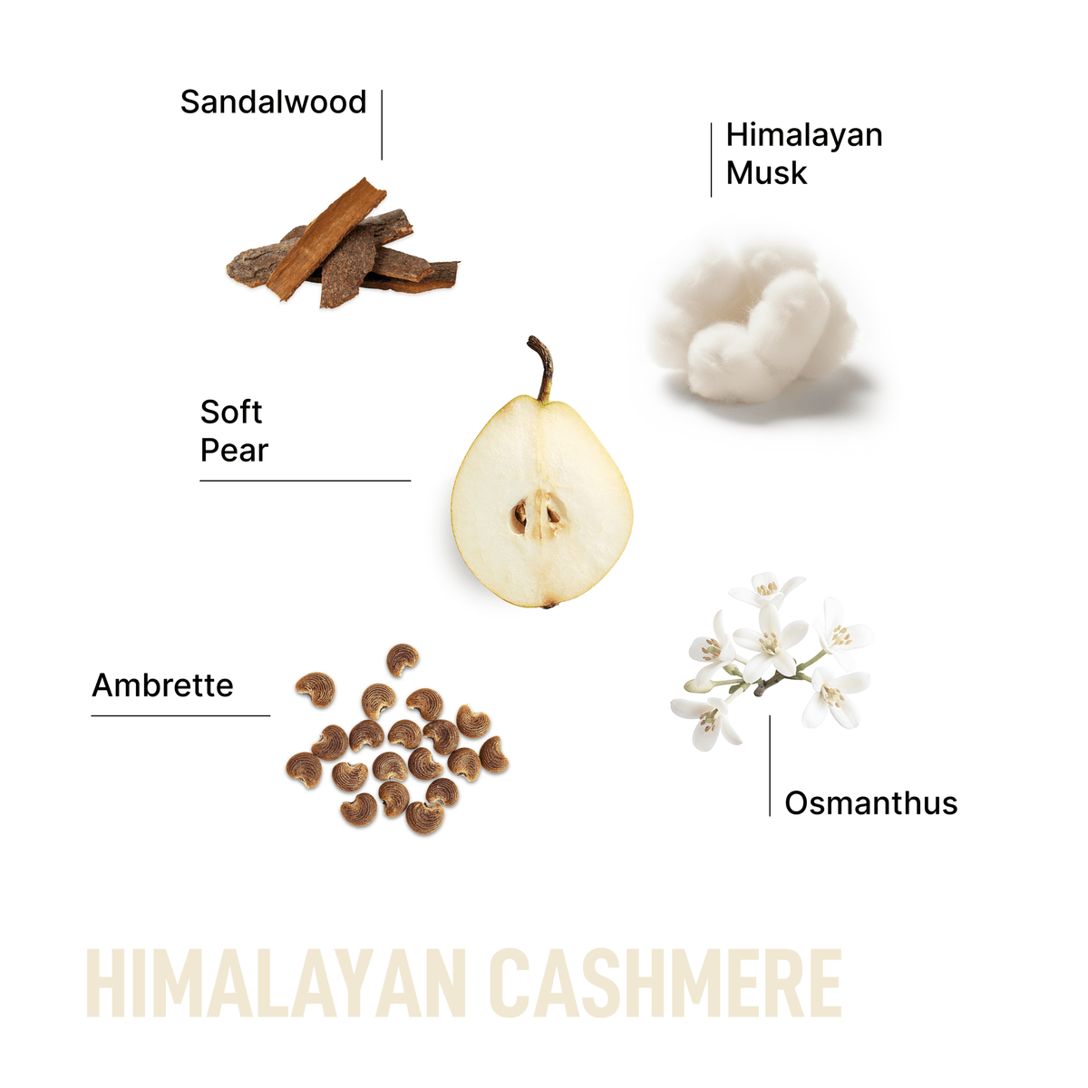 Luxury scented dryer sheets in Himalayan Cashmere scent, with illustrated pear, musk, and flowers.