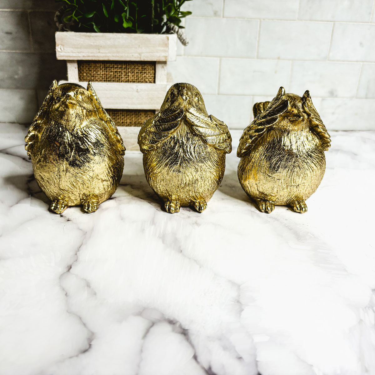 Three golden wise bird figurines on a white stone floor near a small planter.