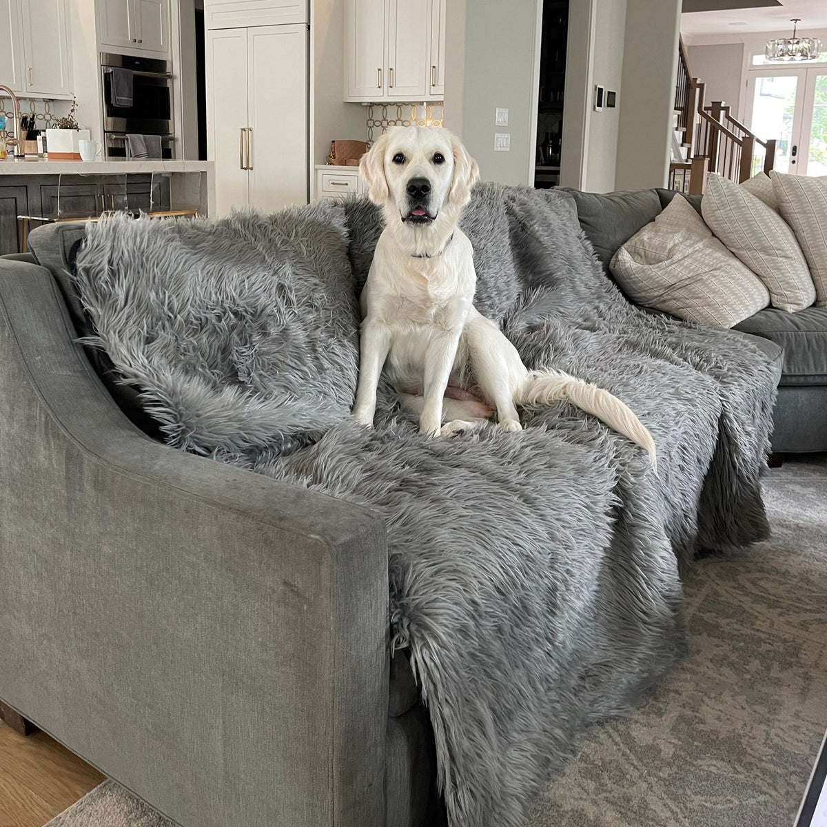 Charcoal grey shaggy waterproof throw blanket on a sofa with a sitting dog