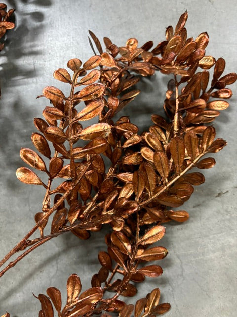 Copper-brown metallic wild fern spray close-up with clustered leaf sprigs