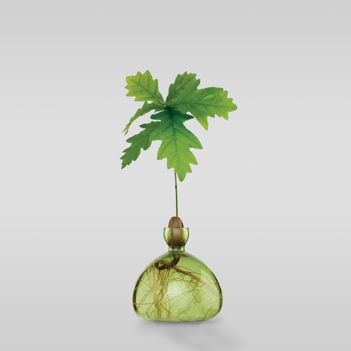 Grass green acorn-shaped glass vase with leafy stem, round bulb body
