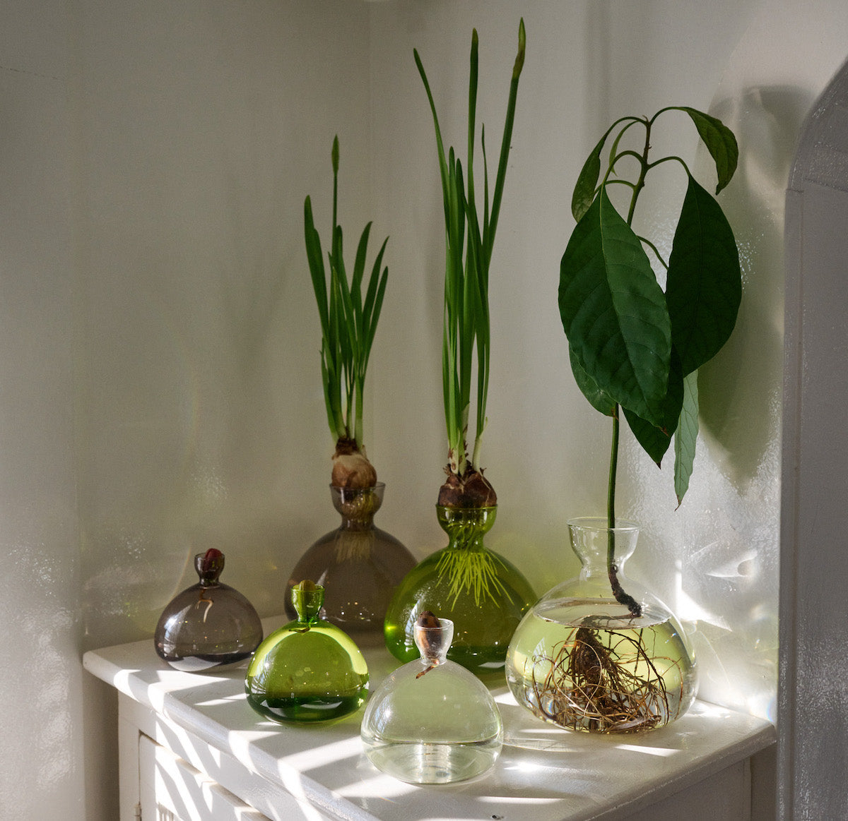 Assorted acorn-shaped glass vases on shelf: clear, smoke-gray, and grass-green