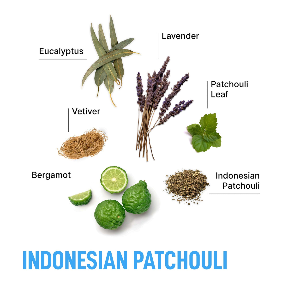 Luxury scented dryer sheets in Indonesian Patchouli scent, with illustrated lavender, vetiver, and leaves.
