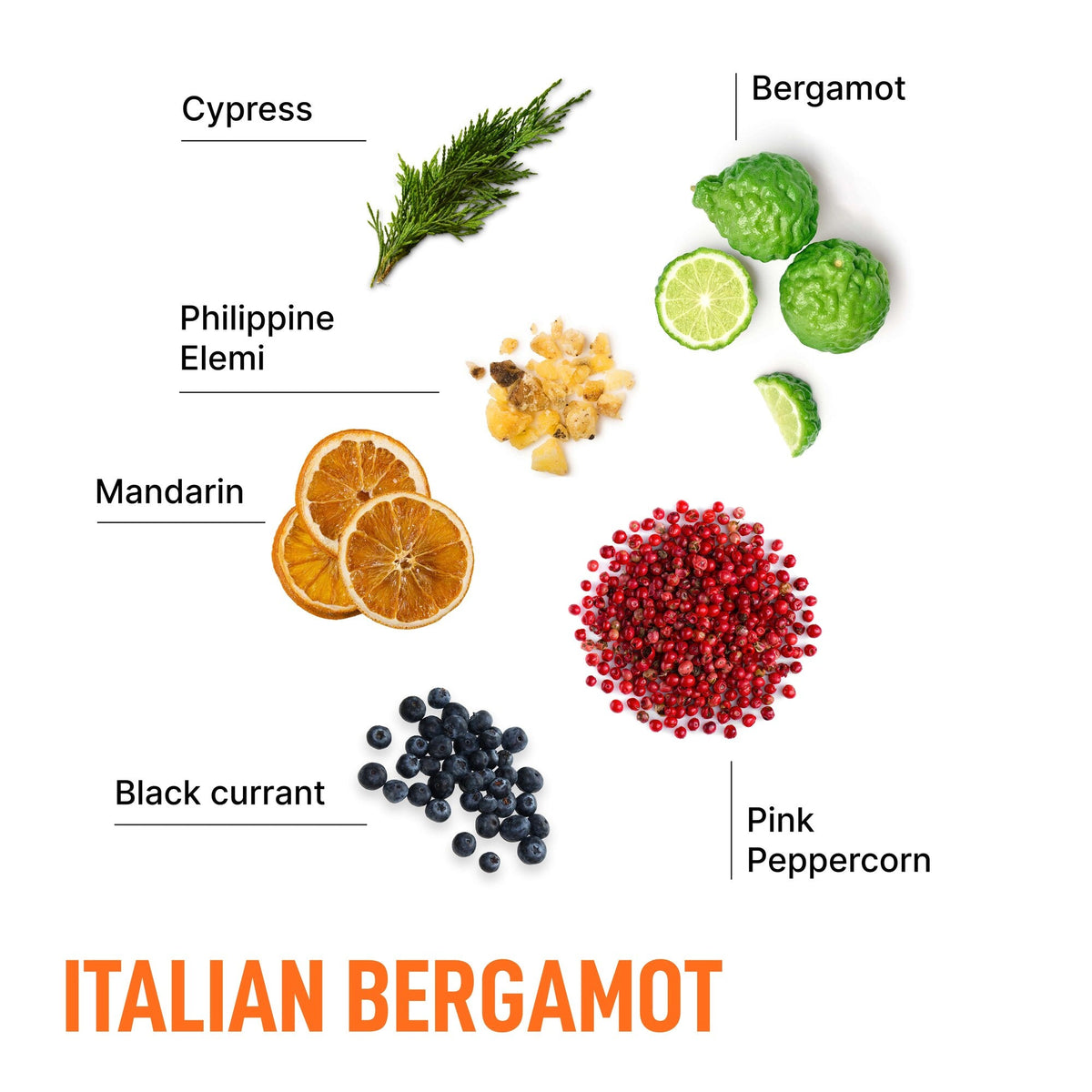 Scent ingredient card labeled Italian bergamot with citrus and seeds arranged