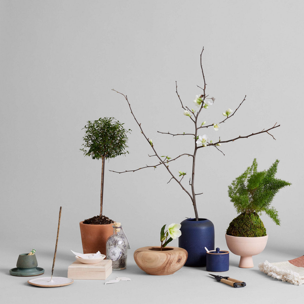 Stoneware match strike with tray, small blue holder with potted stems and base
