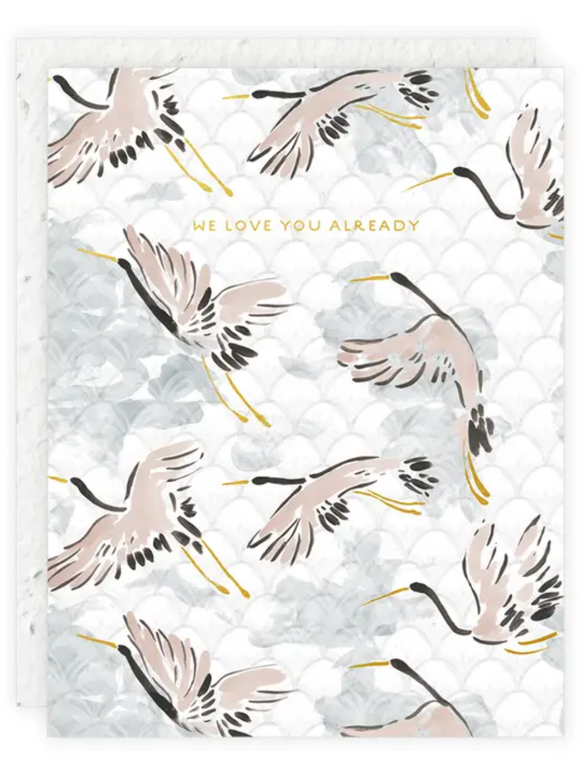 Seeded baby congratulations card front with 'WE LOVE YOU ALREADY' and feather illustration