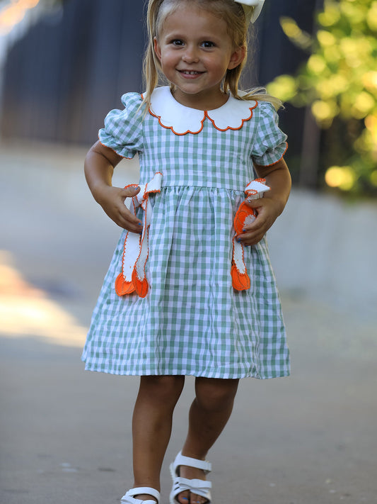 Girls green and white gingham dress with orange rickrack trim and Peter Pan collar