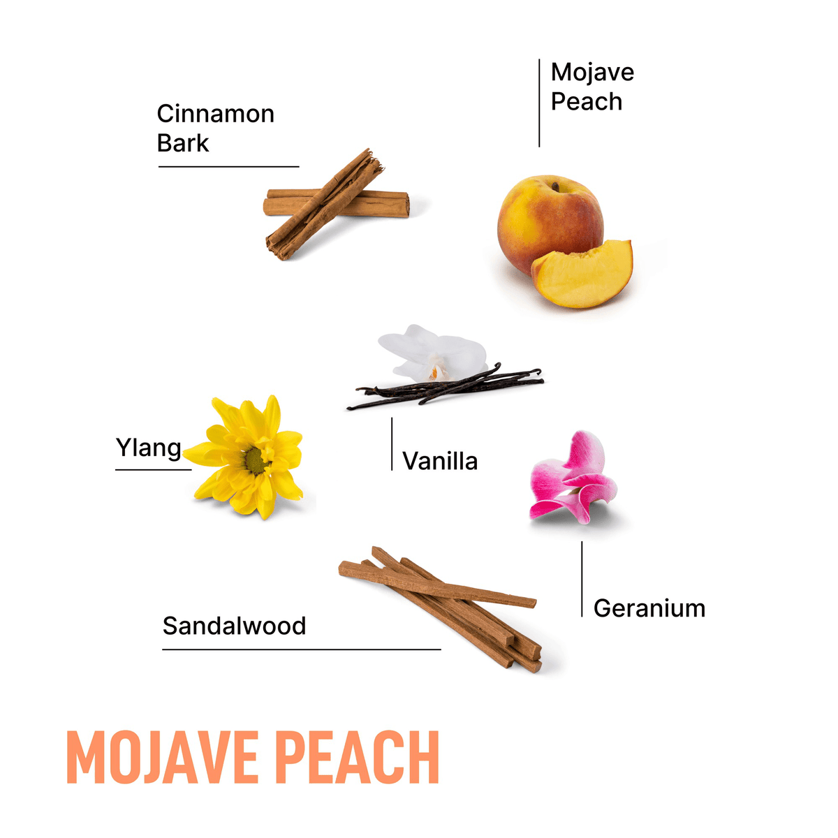 Mojave Peach scent notes graphic with cinnamon bark, sandalwood, vanilla, ylang, geranium