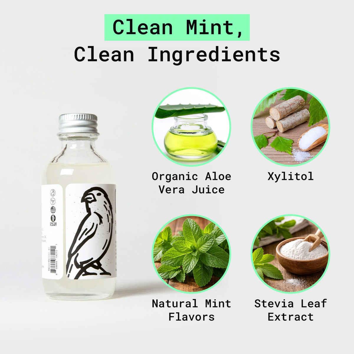 Canary peppermint mouthwash concentrate bottle with bird logo