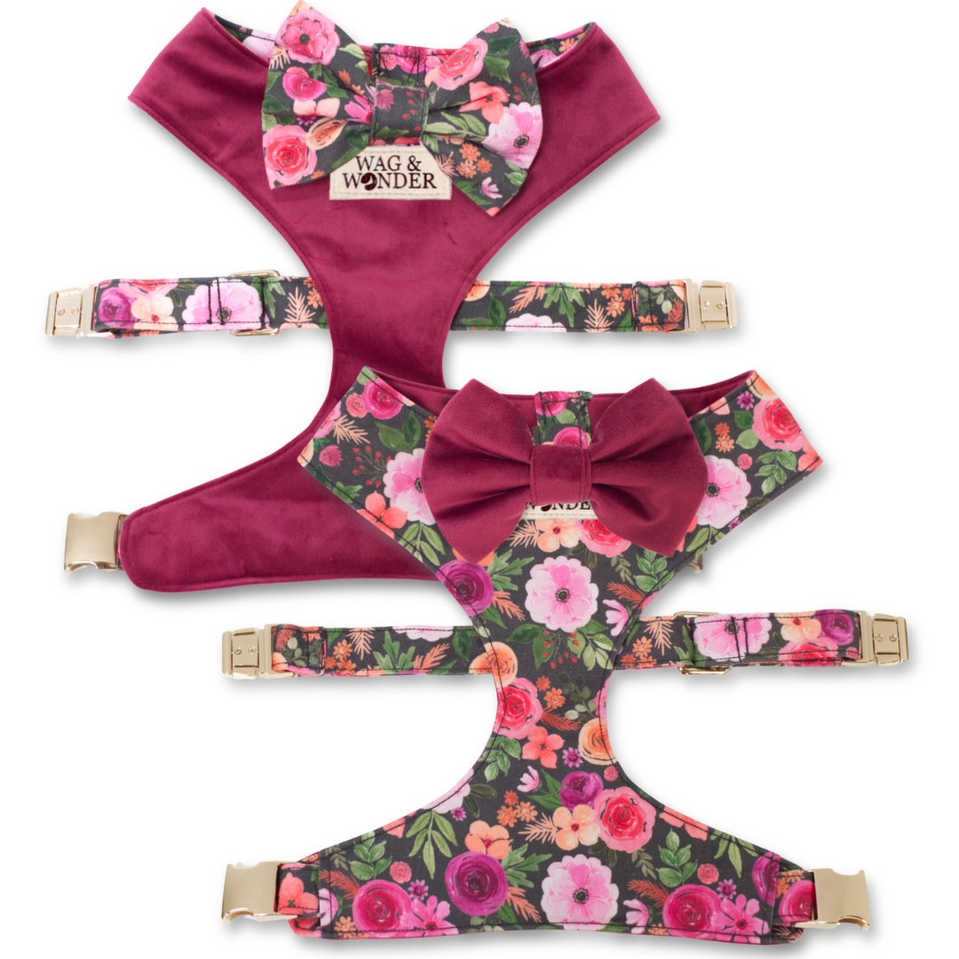 Reversible floral dog harness with maroon bow tie and adjustable gold buckle straps