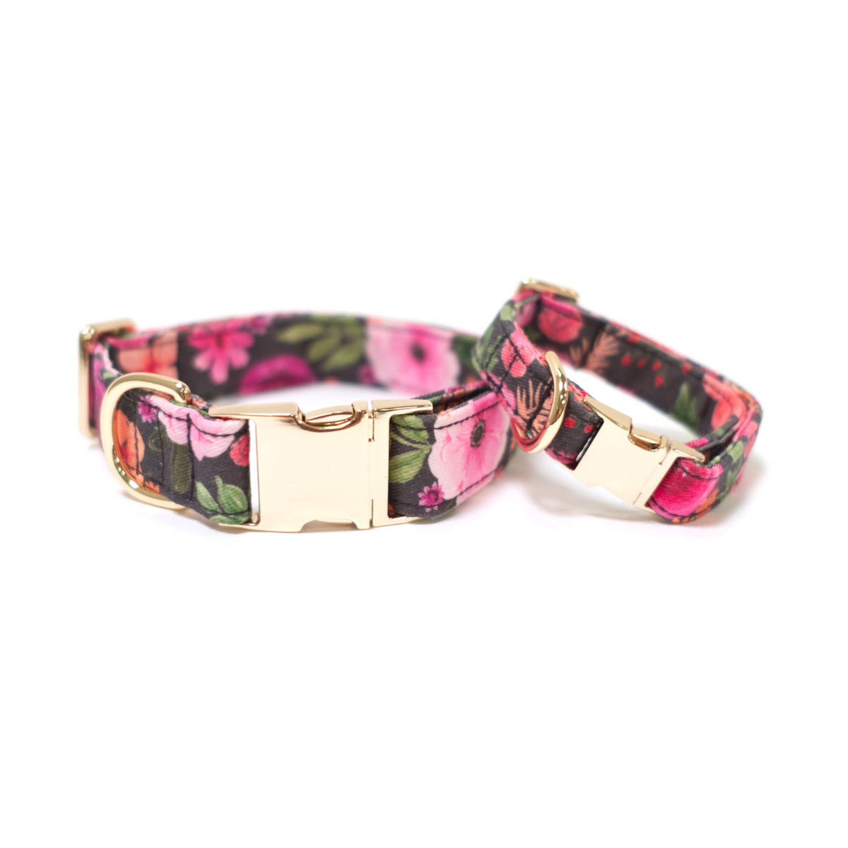 Dog collar with floral print and gold hardware, dark fabric with pink rose pattern