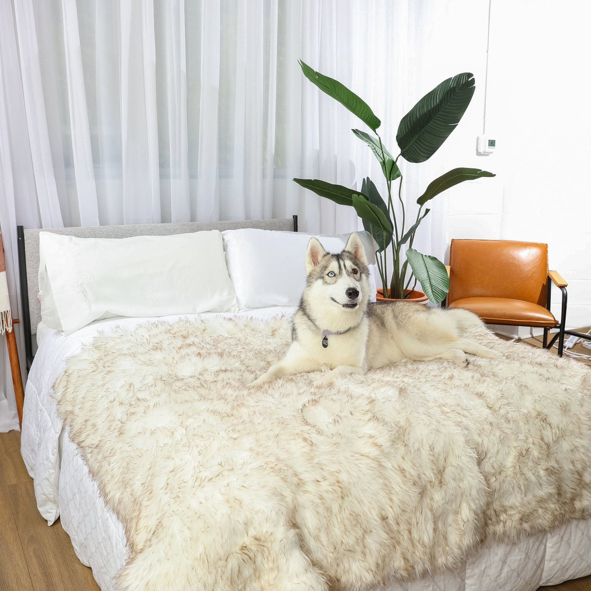 Waterproof shag throw blanket, off-white with subtle brown accents, draped on bed