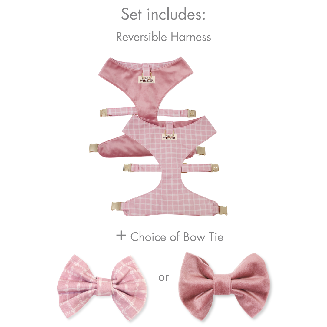 Reversible dog harness set with choice of bow tie: plaid bow or velvet bow